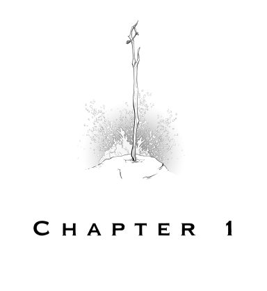 Chapter 1 heading illustration